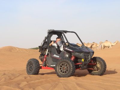 Dune Buggy 1 Seater (1)