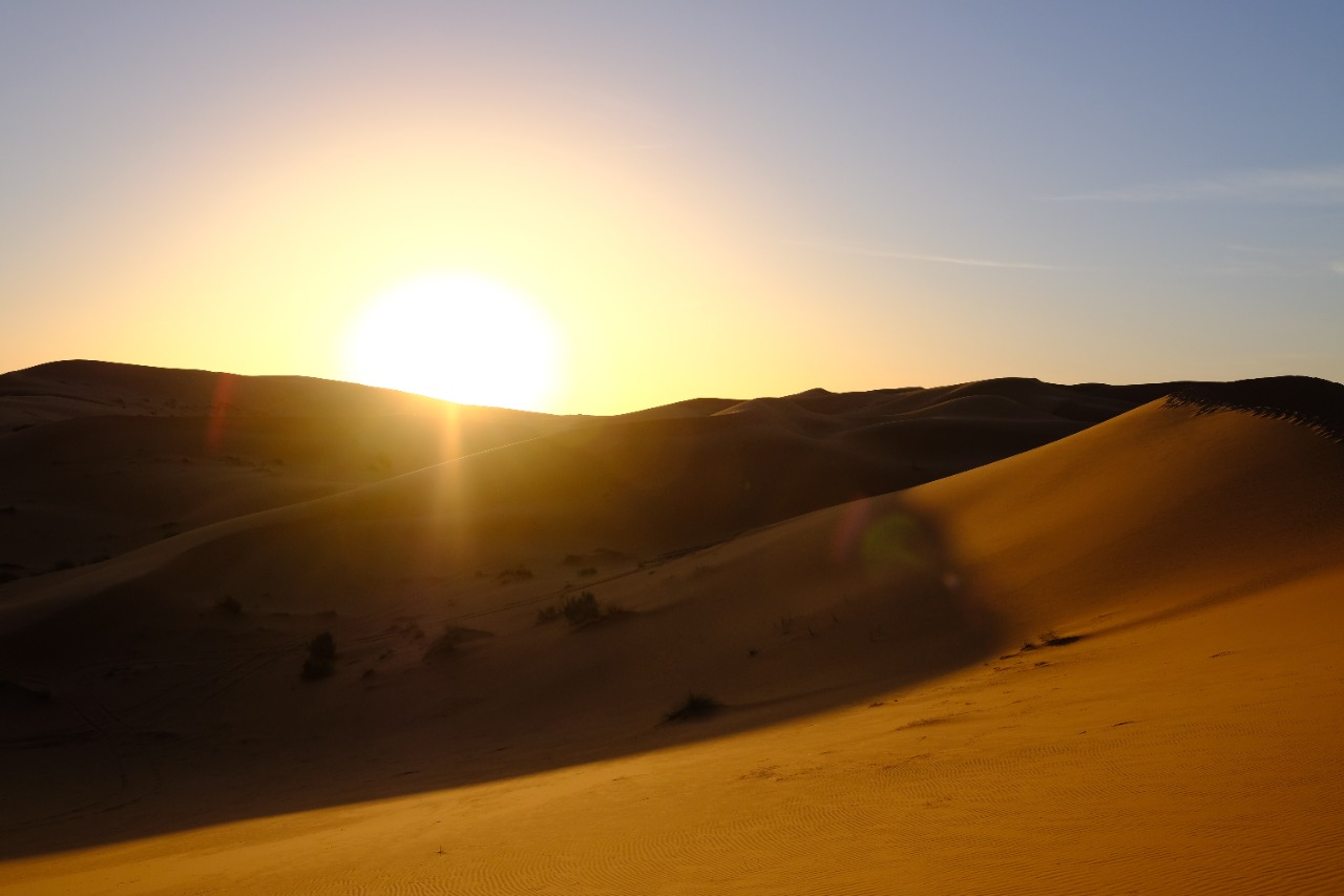 Morning desert Safari (1)